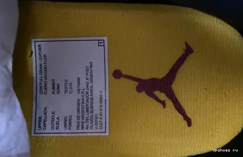 Instinct 2.0 Air Jordan SE CV3583-003 Animal CV3583-003 3 Retro 0424
